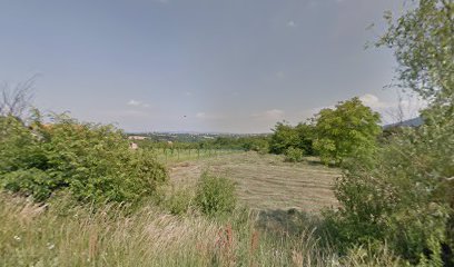 Nemenikuće - Jekića kuće