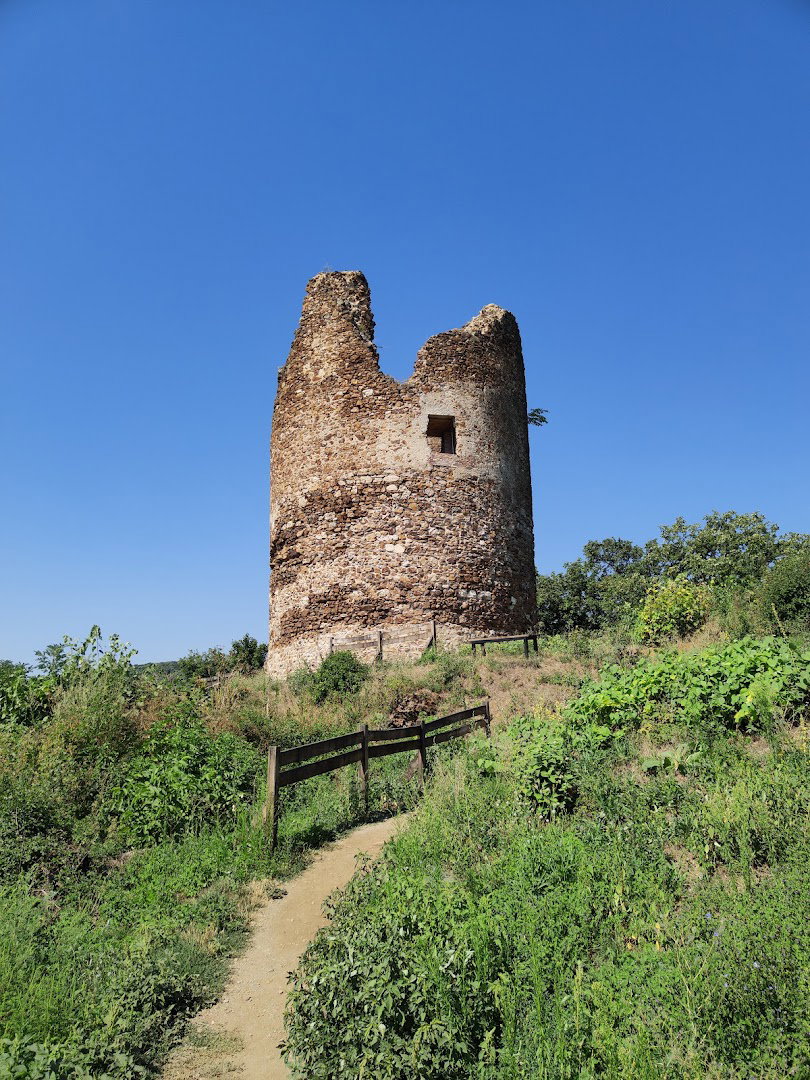 Vrdnik Fortress