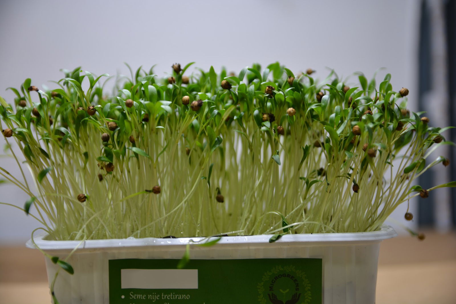 Microgreens