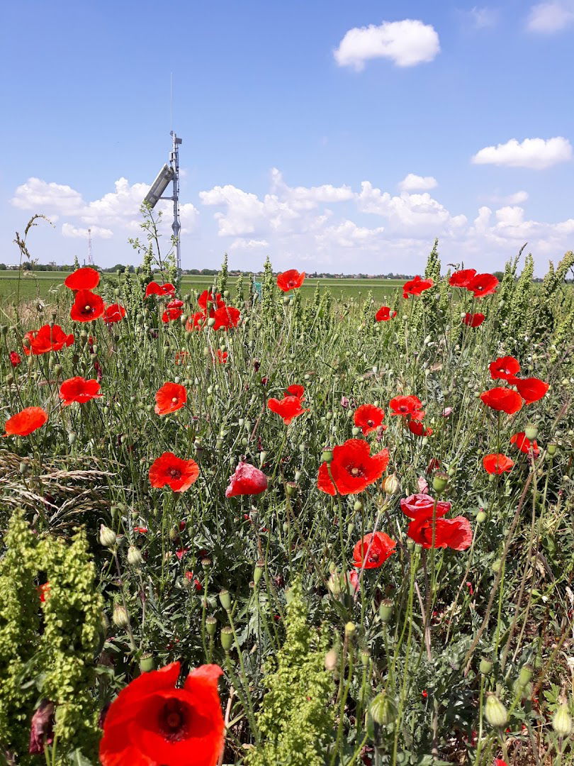 Kisač Parking - Rest Stop