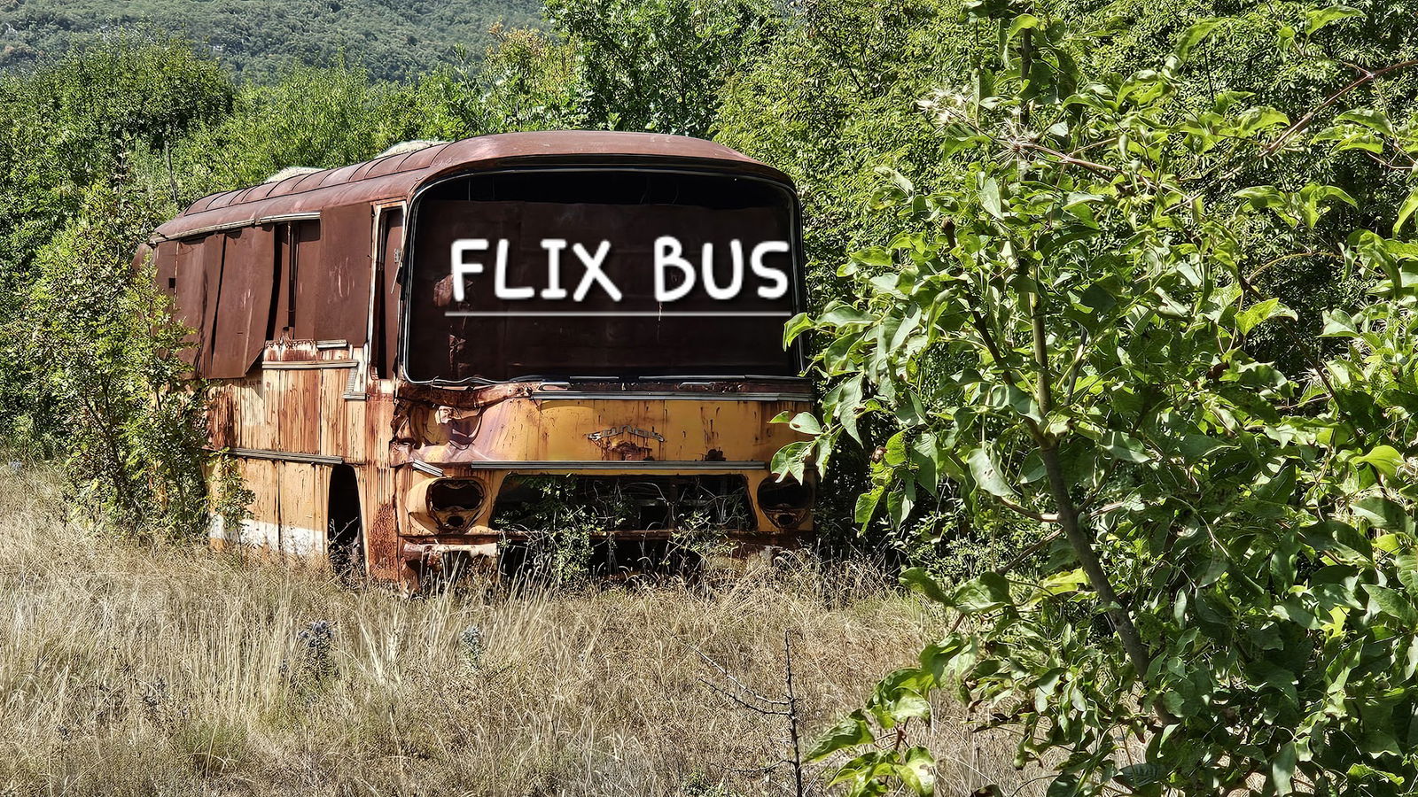 Flixbus