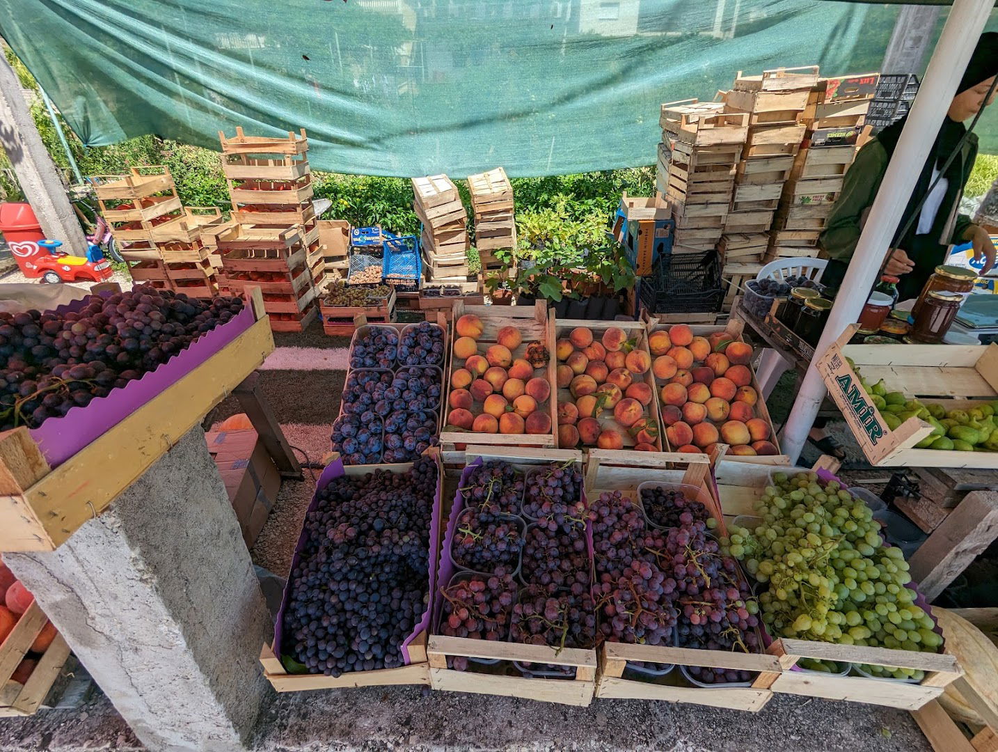 Agro Centar Sjemenarna STOLAC