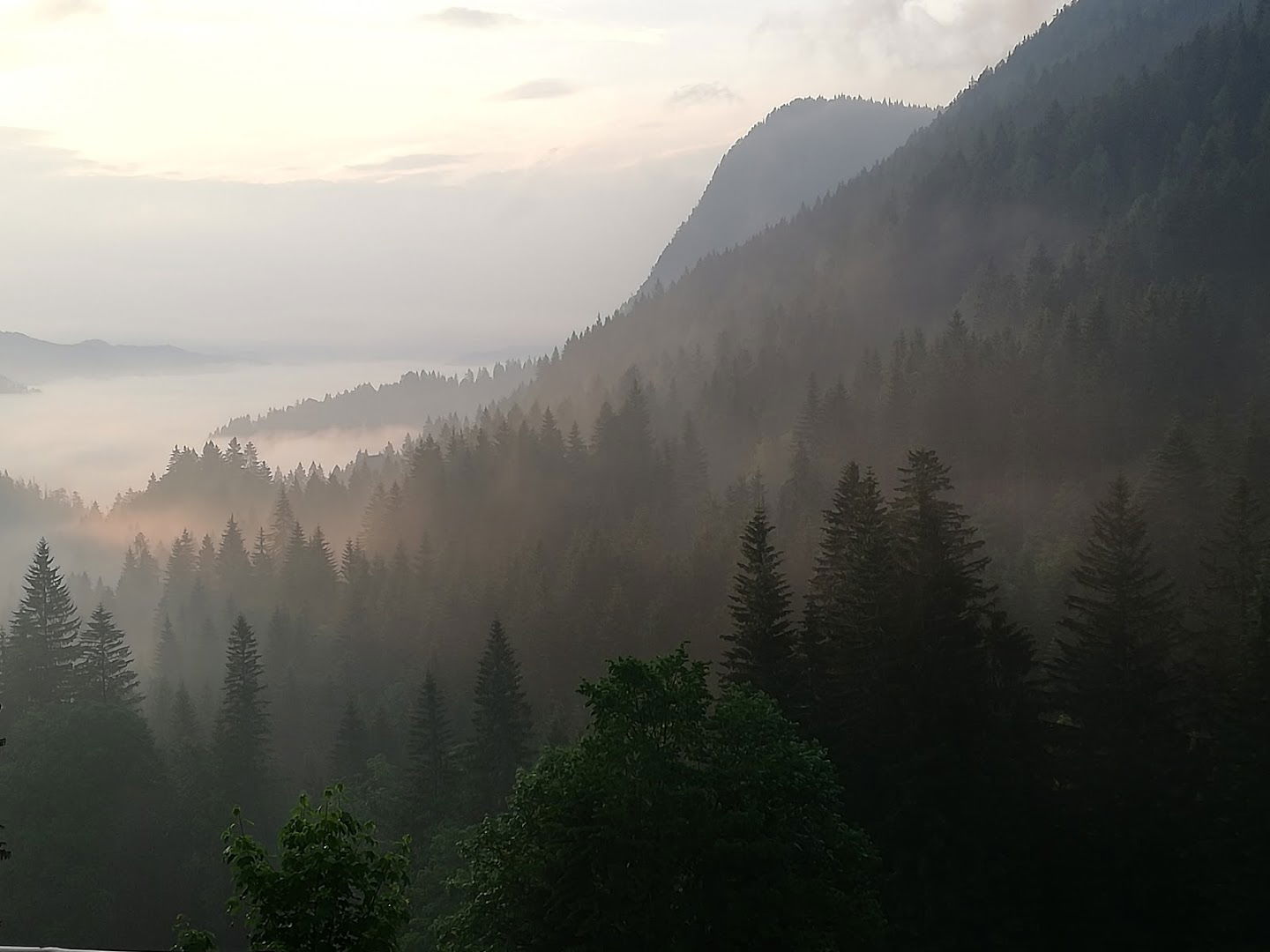 Lovska družina Bistra Črna na Koroškem