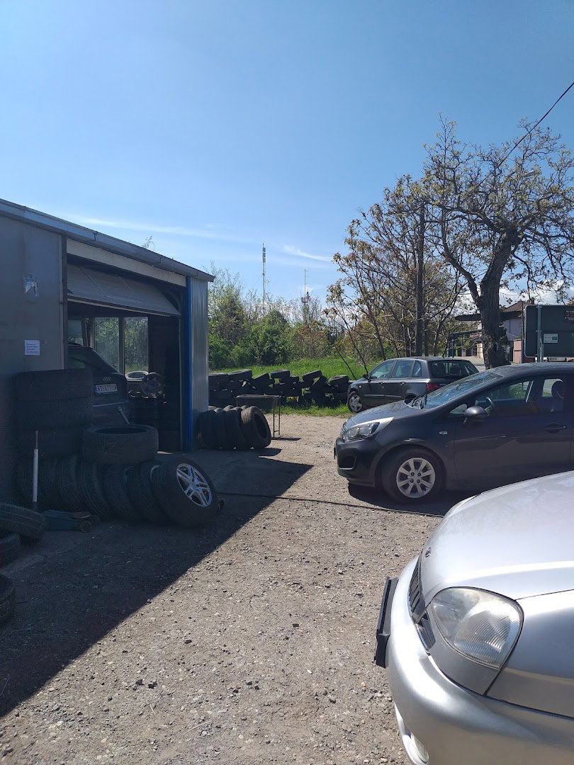 Vulkanizer Ilija Šušnjar