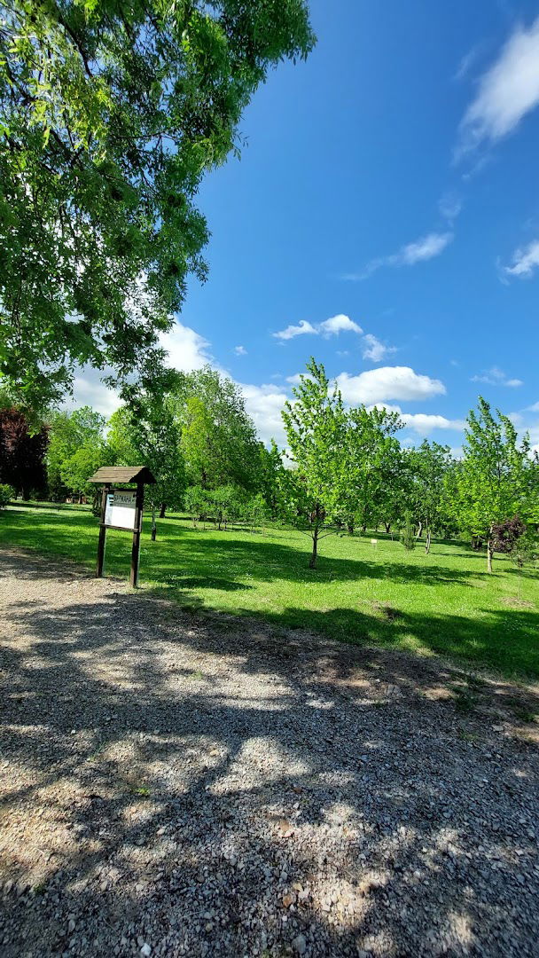 BOTANICKA BASTA U SUMARICAMA