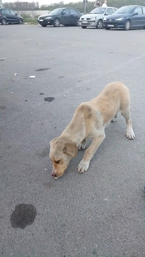 Mali Požarevac - Raskrsnica