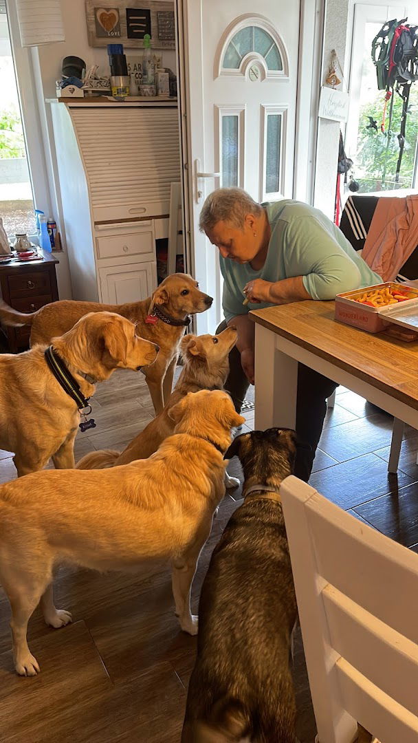Forgotten Souls of Serbia - Sanctuary