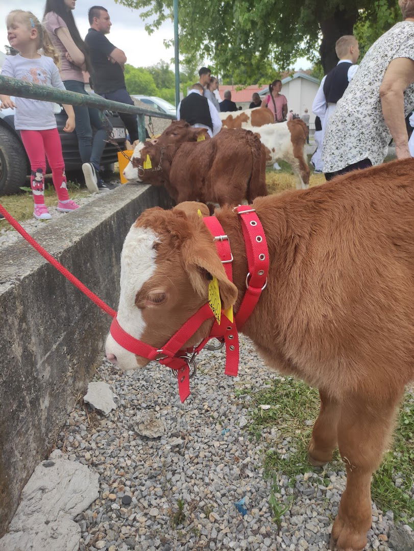 Veterinarska stanica Zlatar