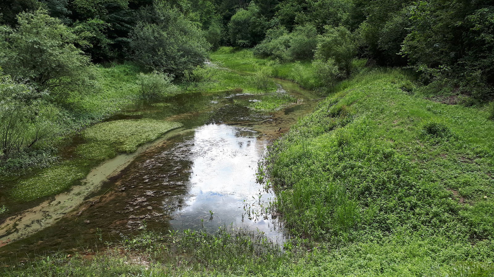 Mačjansko jezero