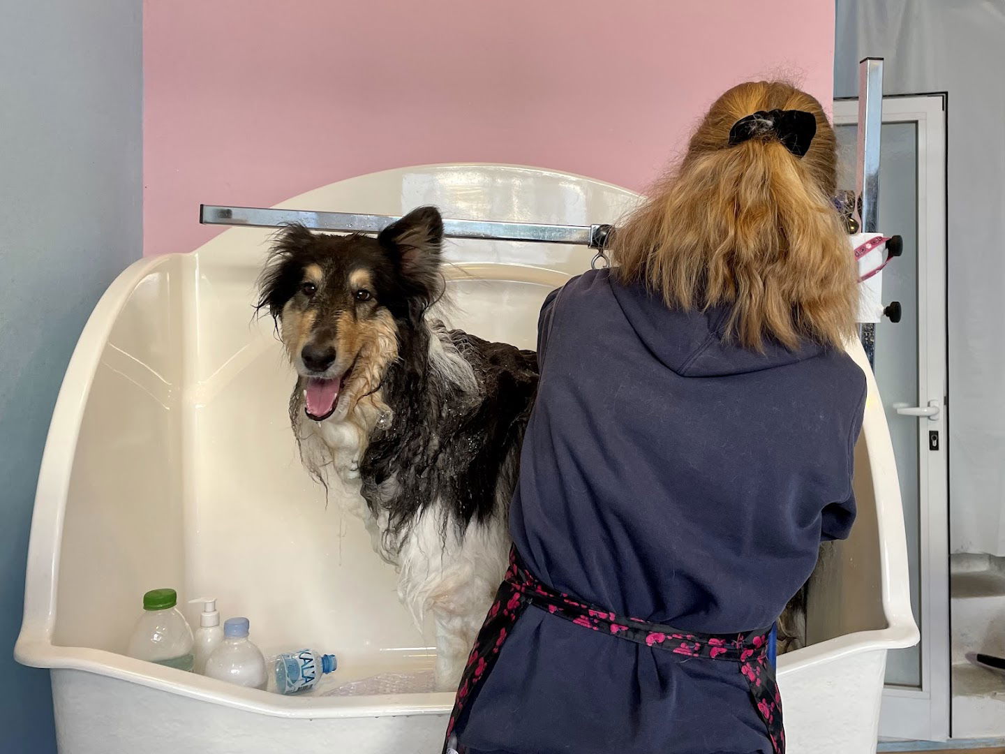 LADY, obrt za njegu kućnih ljubimaca