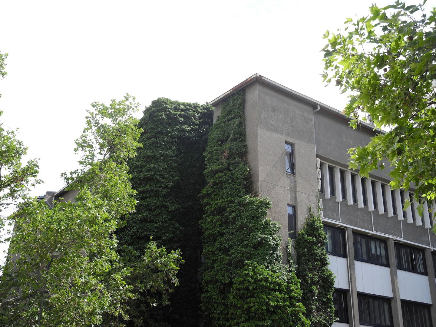 Bilkent Üniversitesi İnsani Bilimler Ve Edb. Fakültesi