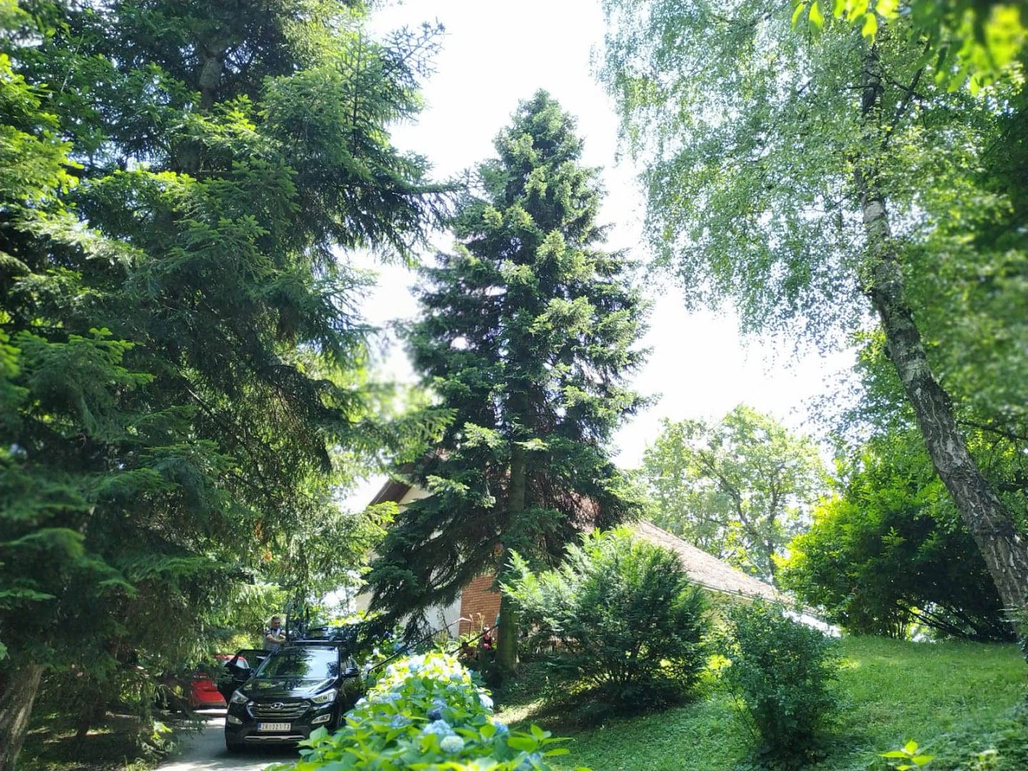 Old Chestnut Vacation Home Croatia