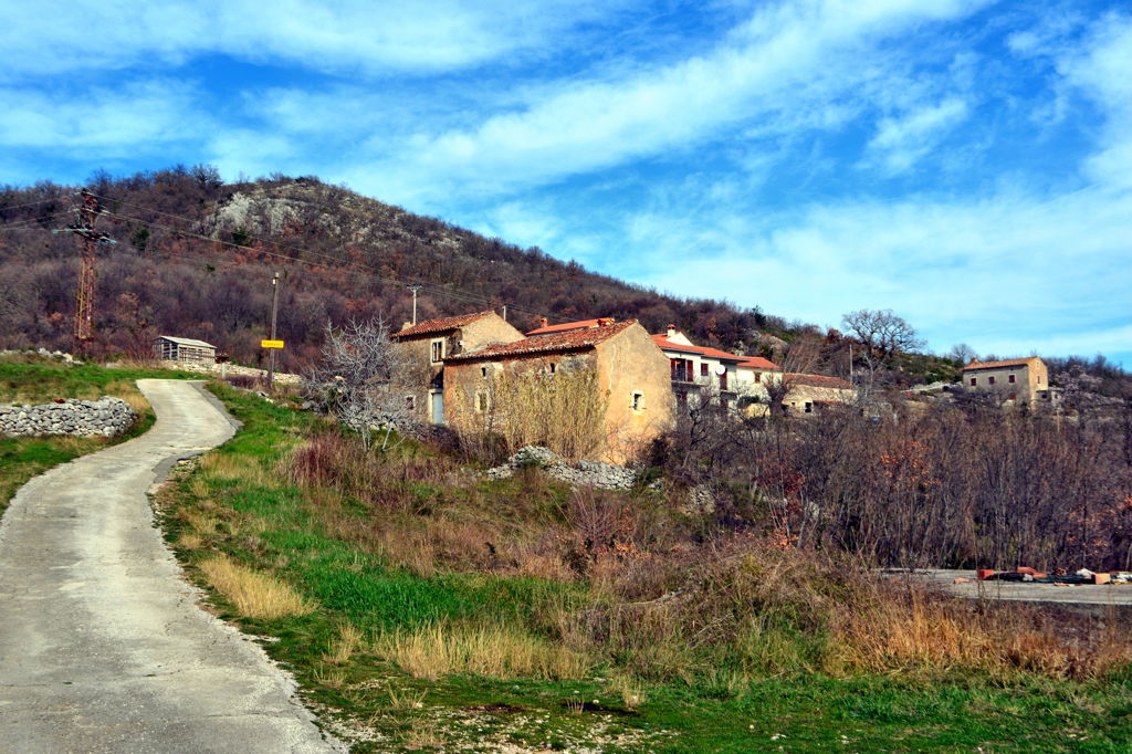 Fonovići
