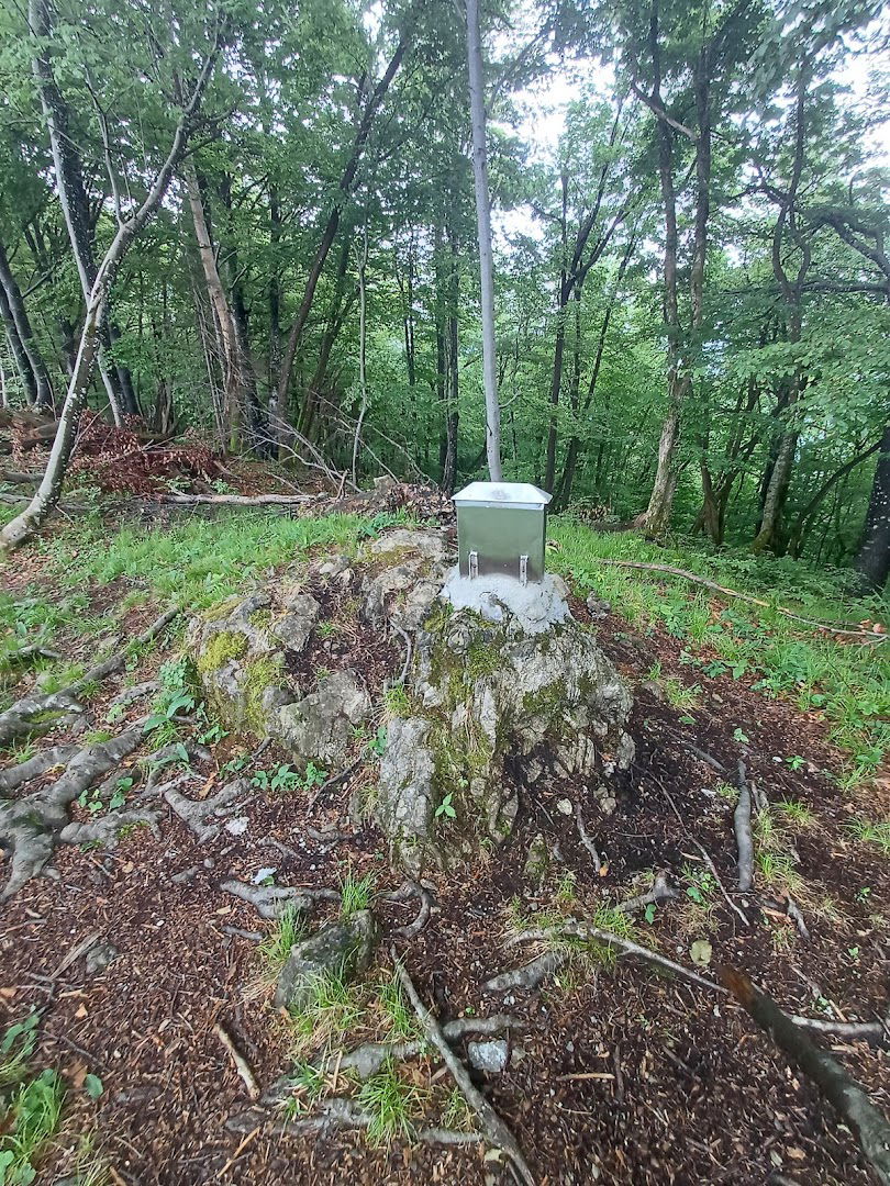 Planina nad Borovnico