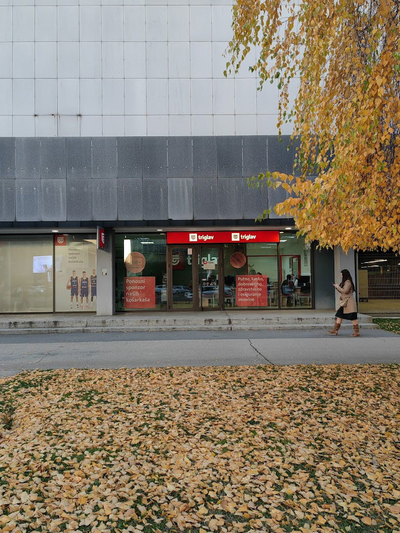 Triglav Osiguranje Ekspozitura Beograd 1