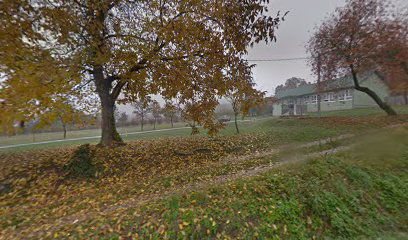 Područna škola Vladimir Nazor