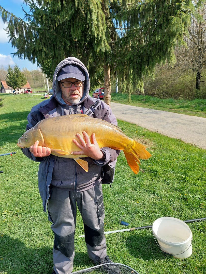 ŠRD Ribič Rovišće