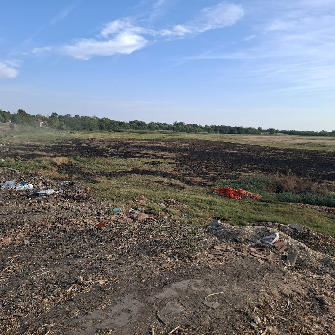 Месна заједница Идвор