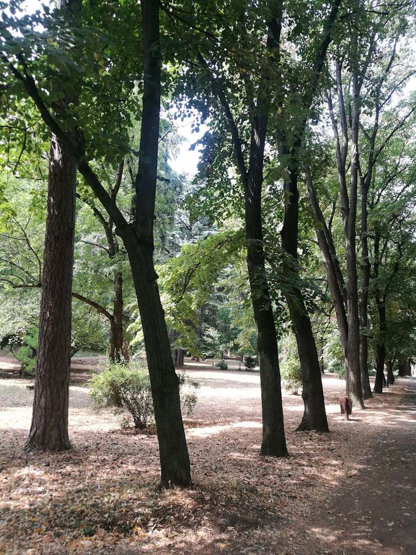 Дворска Башта