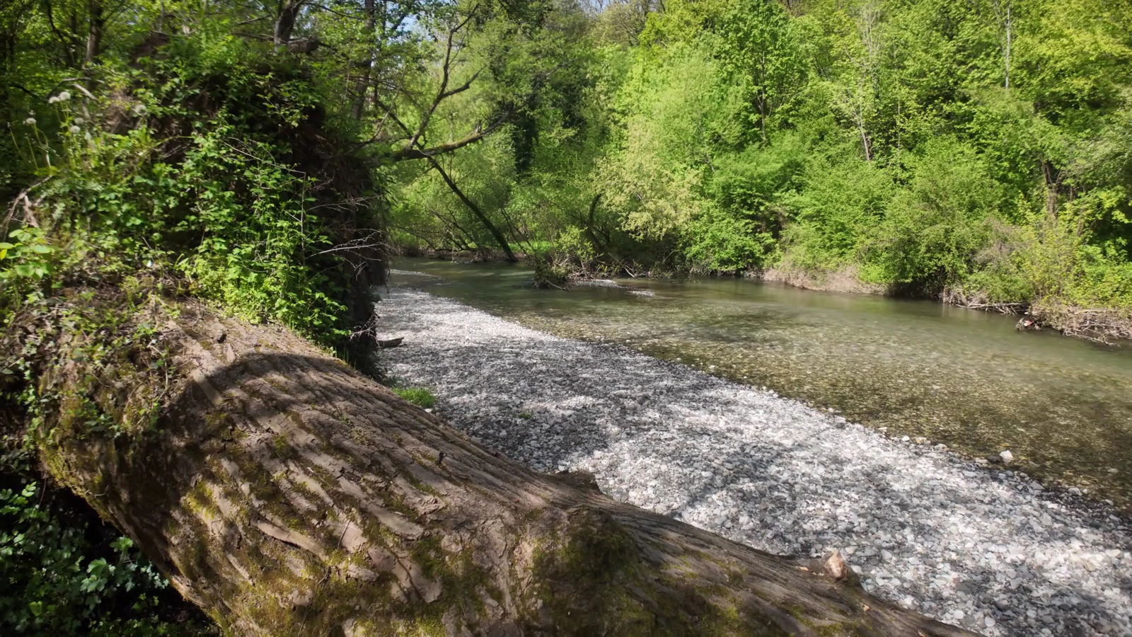 Градац купањац