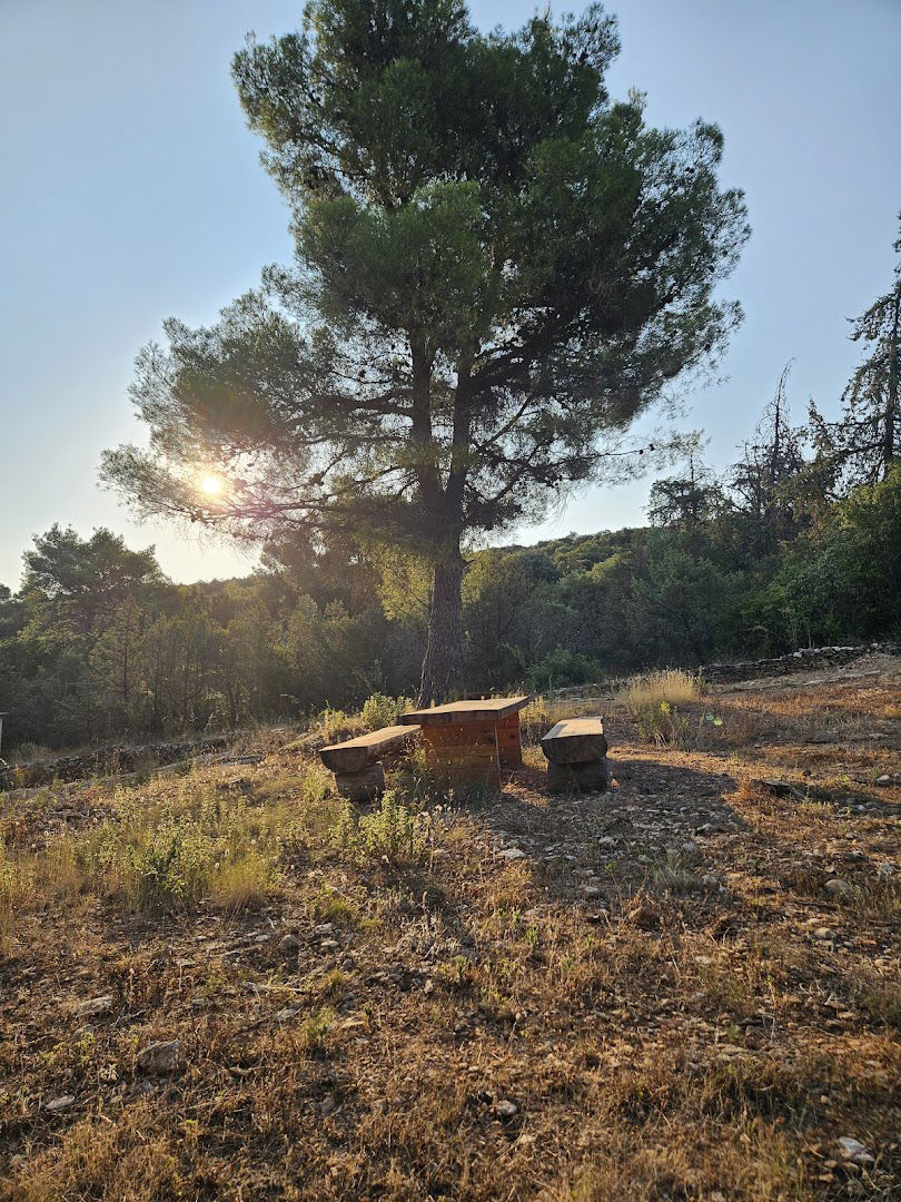 Lernpfad Ökosystem Supetar