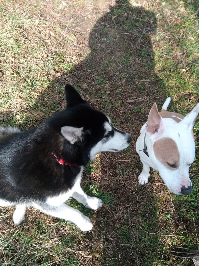 Sljeme, zavrsetak planinarske staze 20