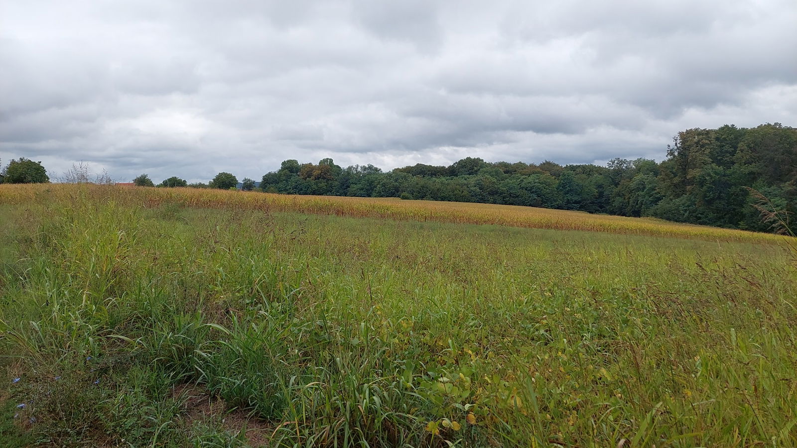 Mali Potočec cemetery