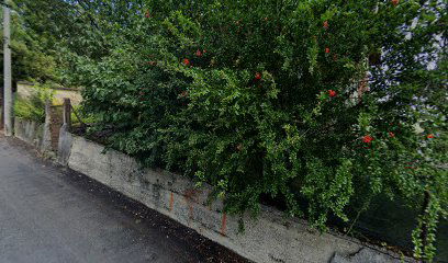 Novus Vita Distribution d.o.o