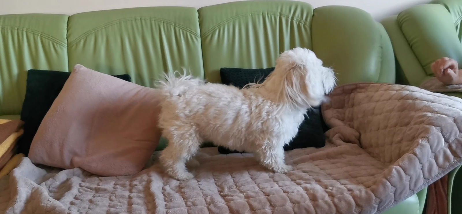 MetalRad d.o.o. Indjija