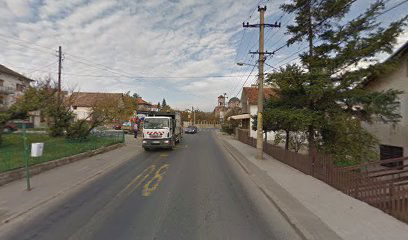 Radisava Ignjatovića