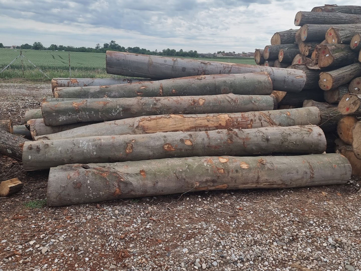 Drvni centar Badovinci