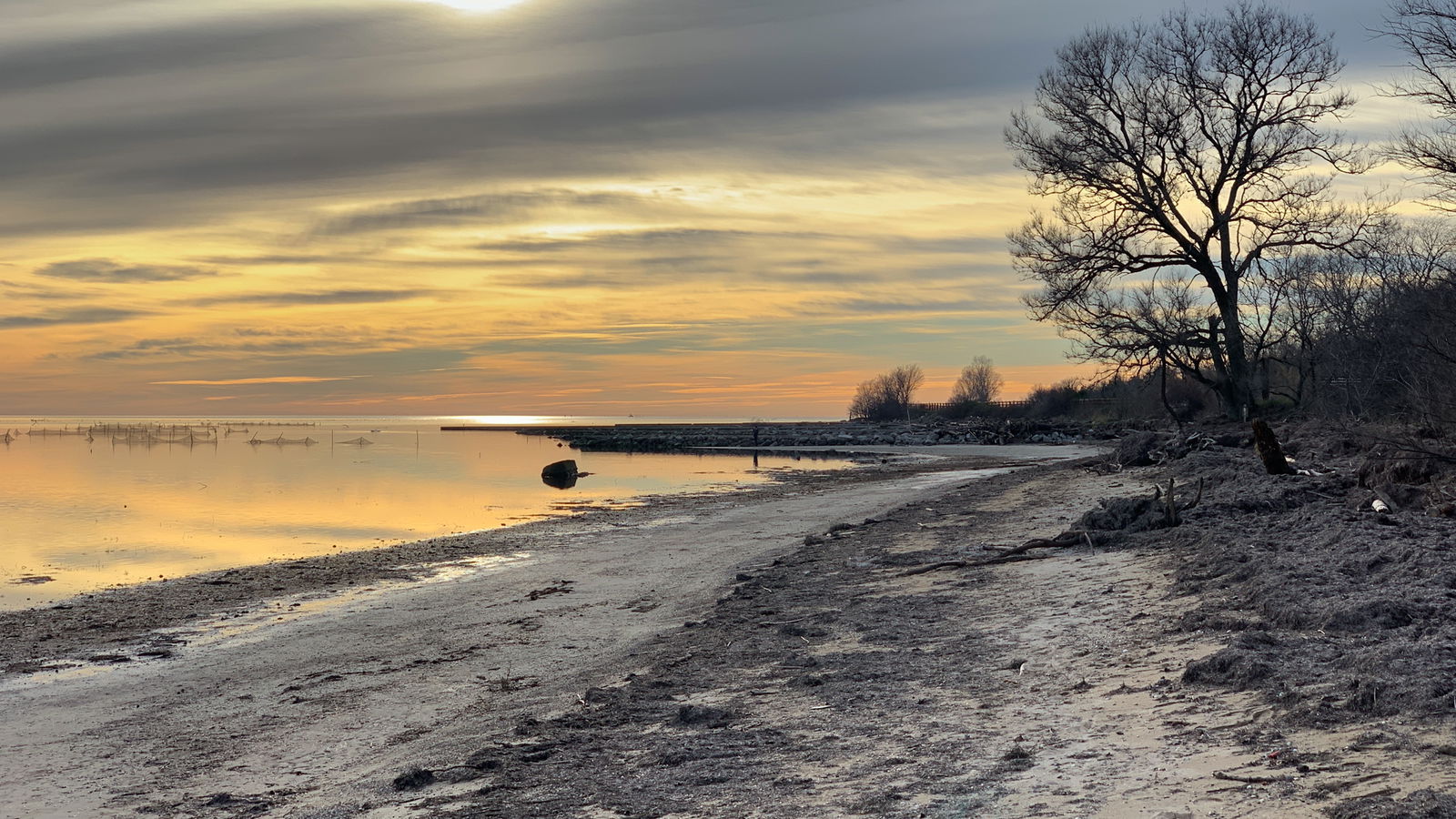 Lido delle conchiglie