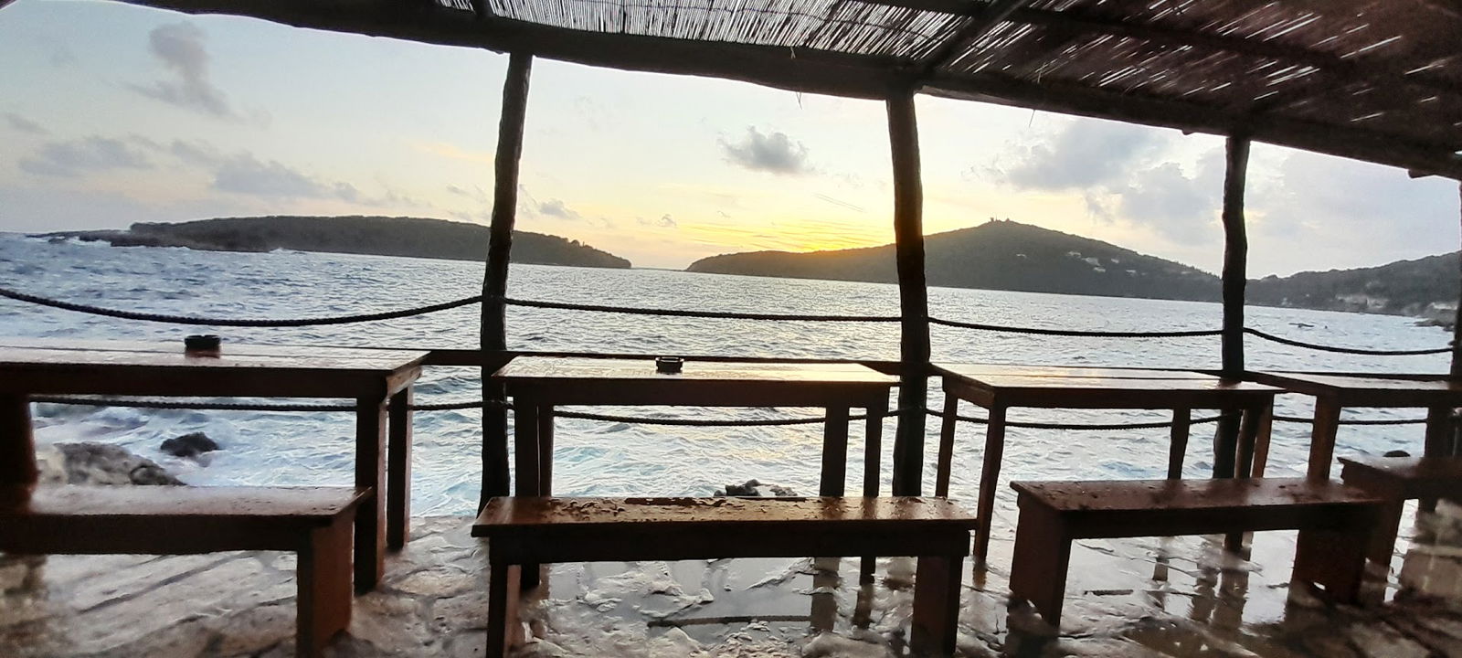 Feral Pizza & Cake Shop