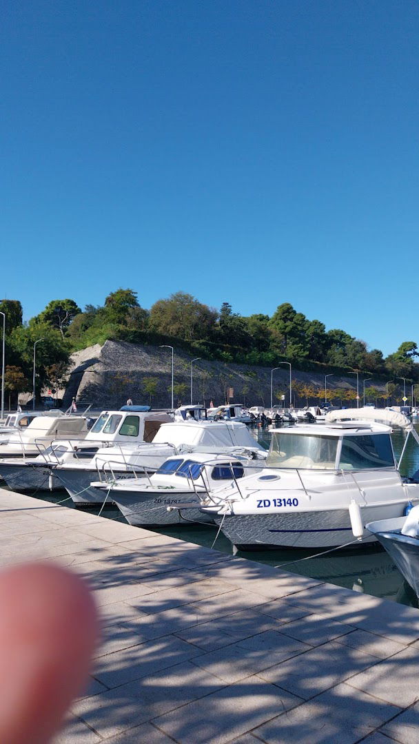 Studentsko savjetovalište Sveučilišta u Zadru