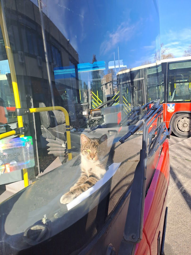 Градско саобраћајно предузеће "Београд" | Саобраћајни погон "Земун"