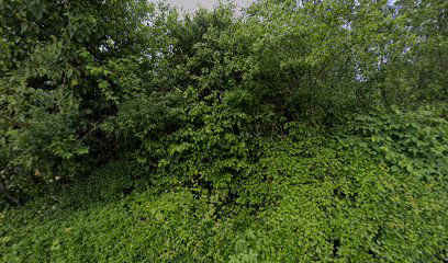 NEVEN,obrt za usluge i prijevoz