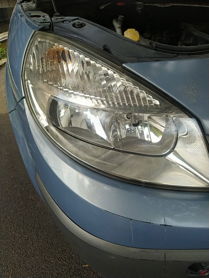 Perionica tepiha Goran