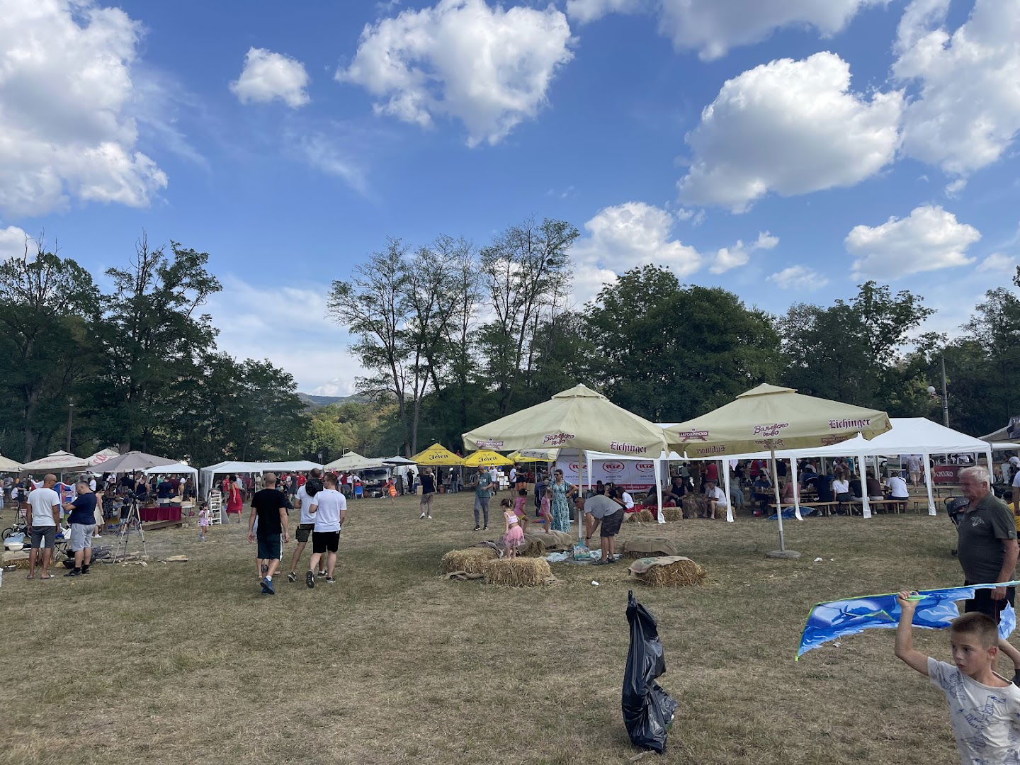 World Testicle Cooking Championship