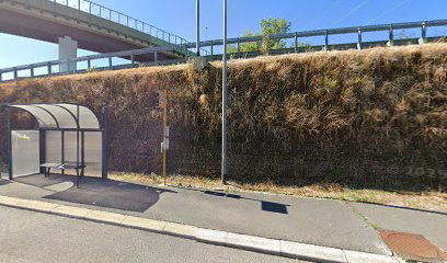 strada provinciale 12 della Rosandra 137 (via Travnik)