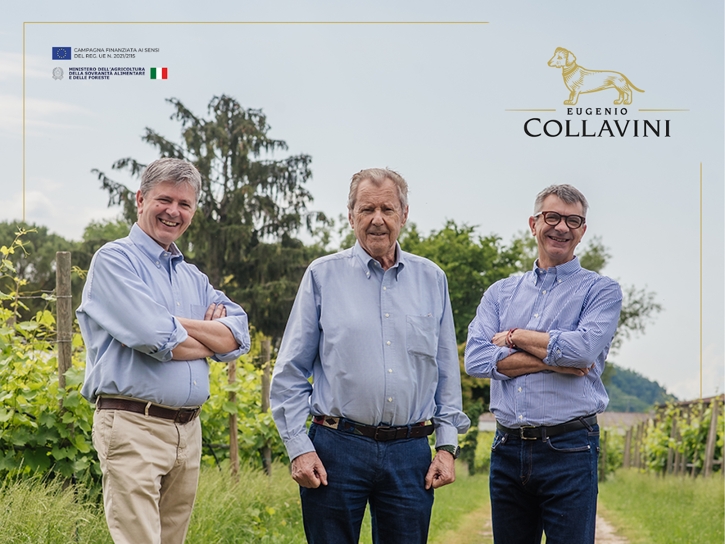 Eugenio Collavini Winery