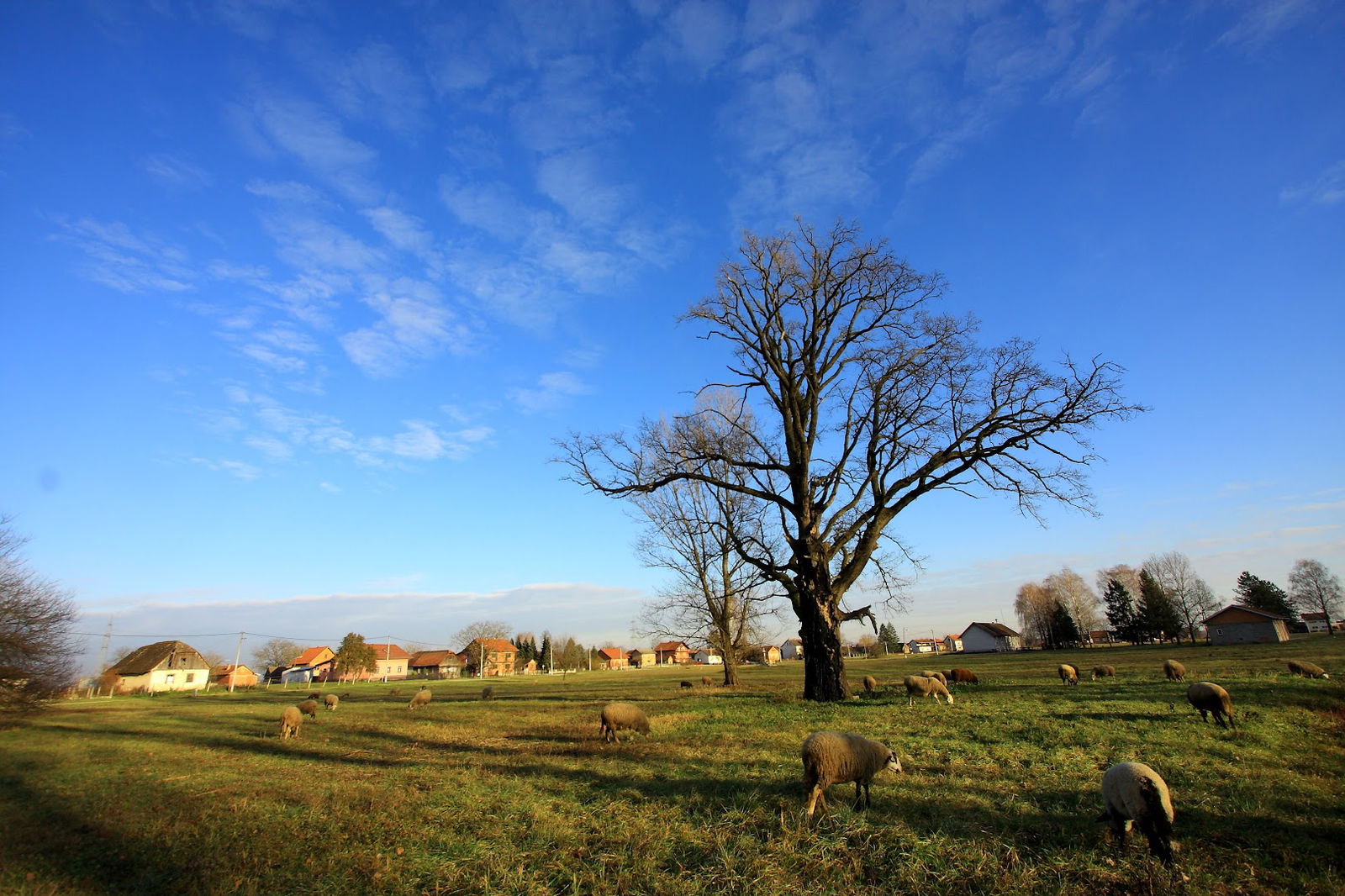 Dječje Igralište Preseka Oborovska