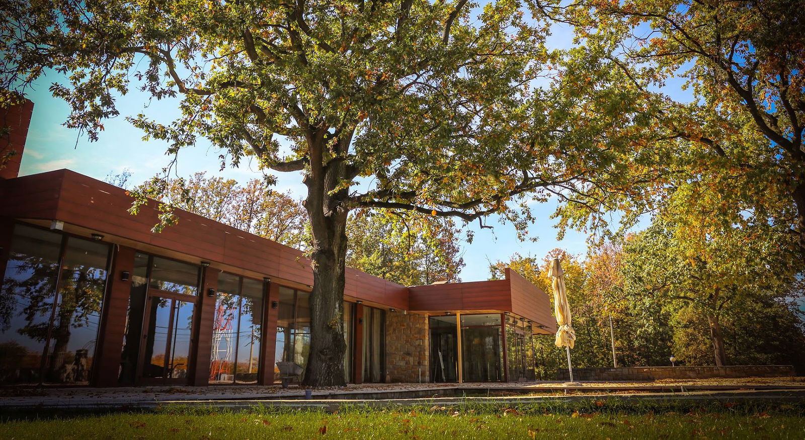 „Lipovačka Šuma“