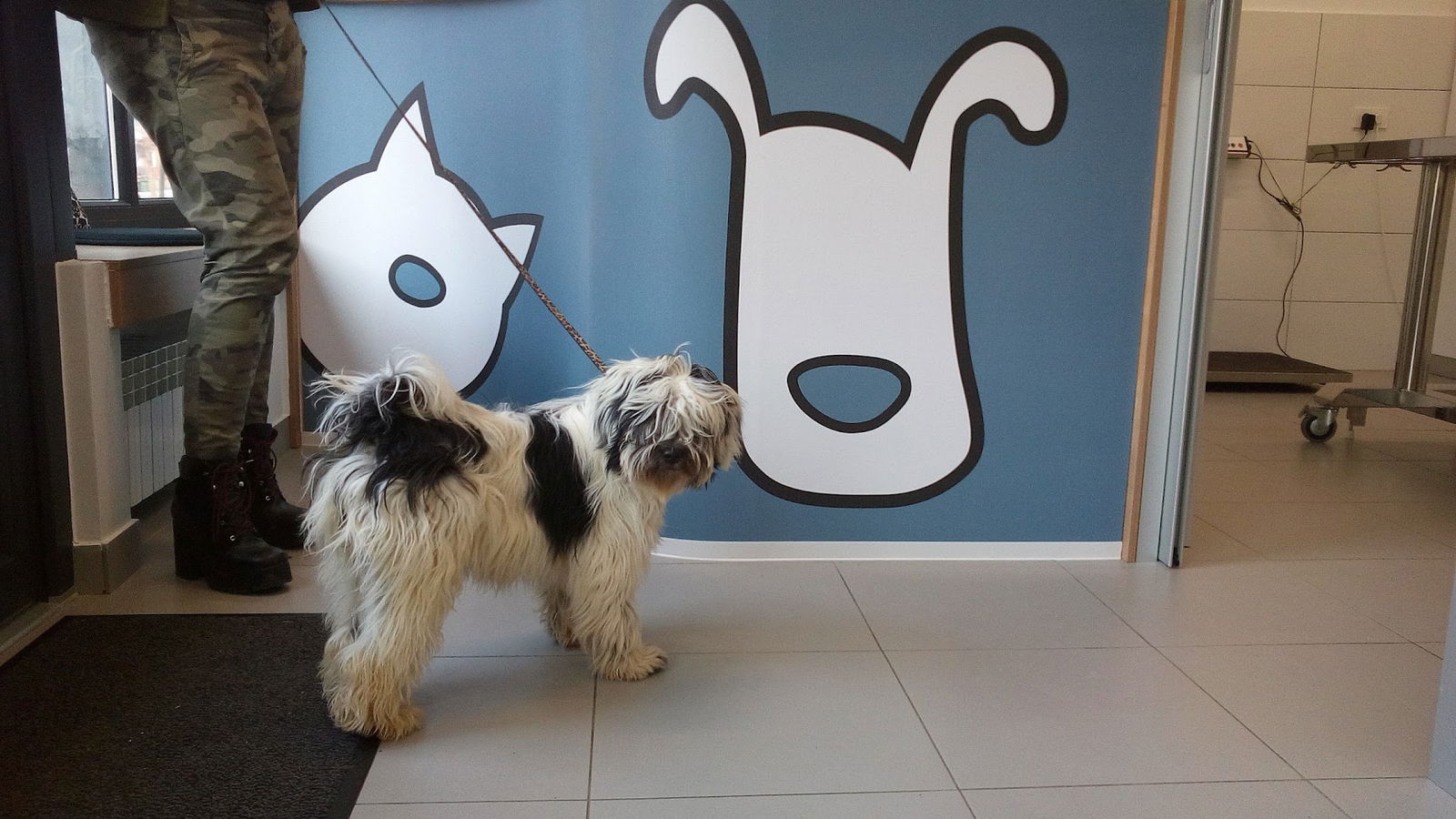 Specijalistička veterinarska praksa Vet Makar d.o.o.