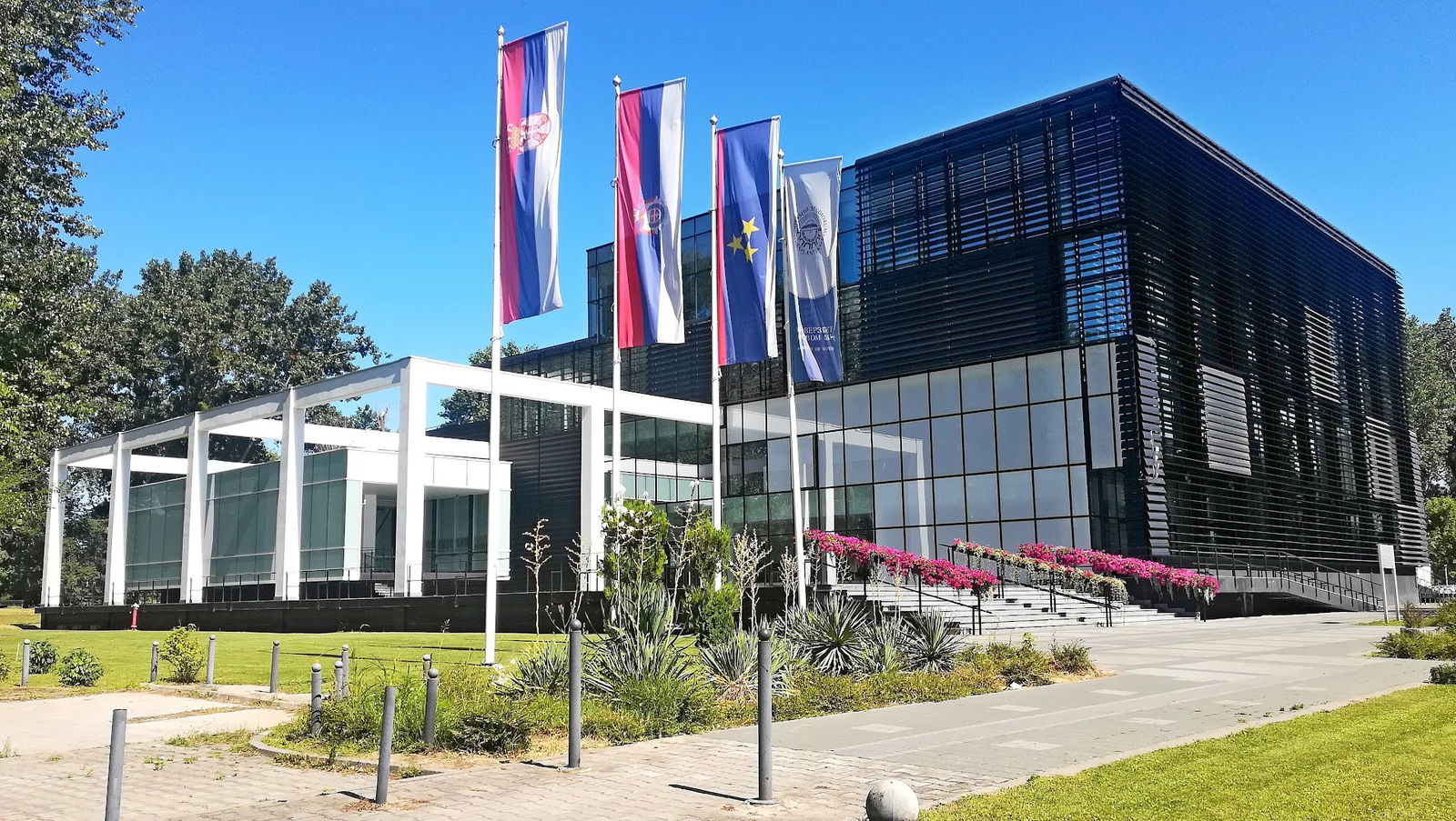 University of Novi Sad