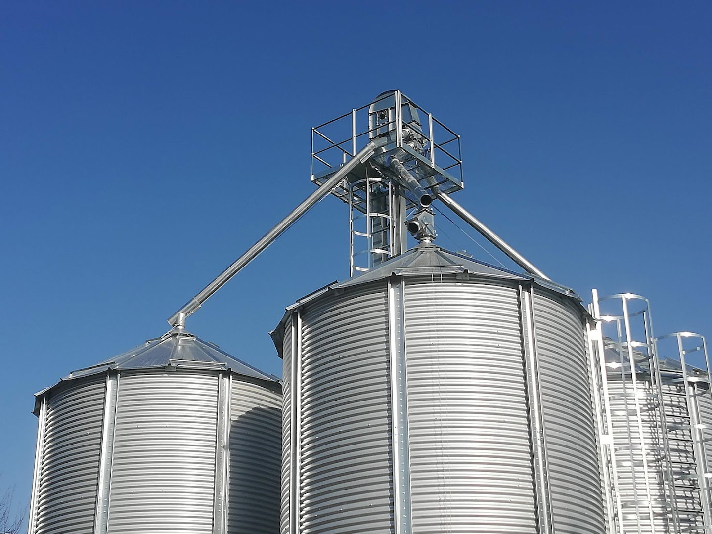 OPG Viljevac Tomislav