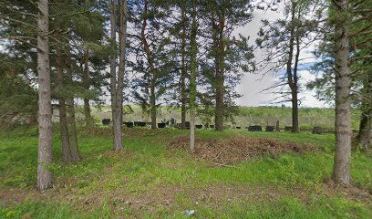 Srednja Meminska cemetery