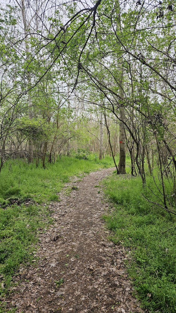 Šumske staze Padinska Skela