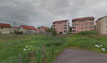 Access Bars Margareta Mudra tretmani i edukacija