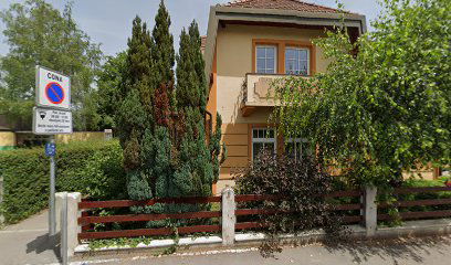 Carpet Art, mednarodna trgovina in zastopanje Janko Kosmač s.p.