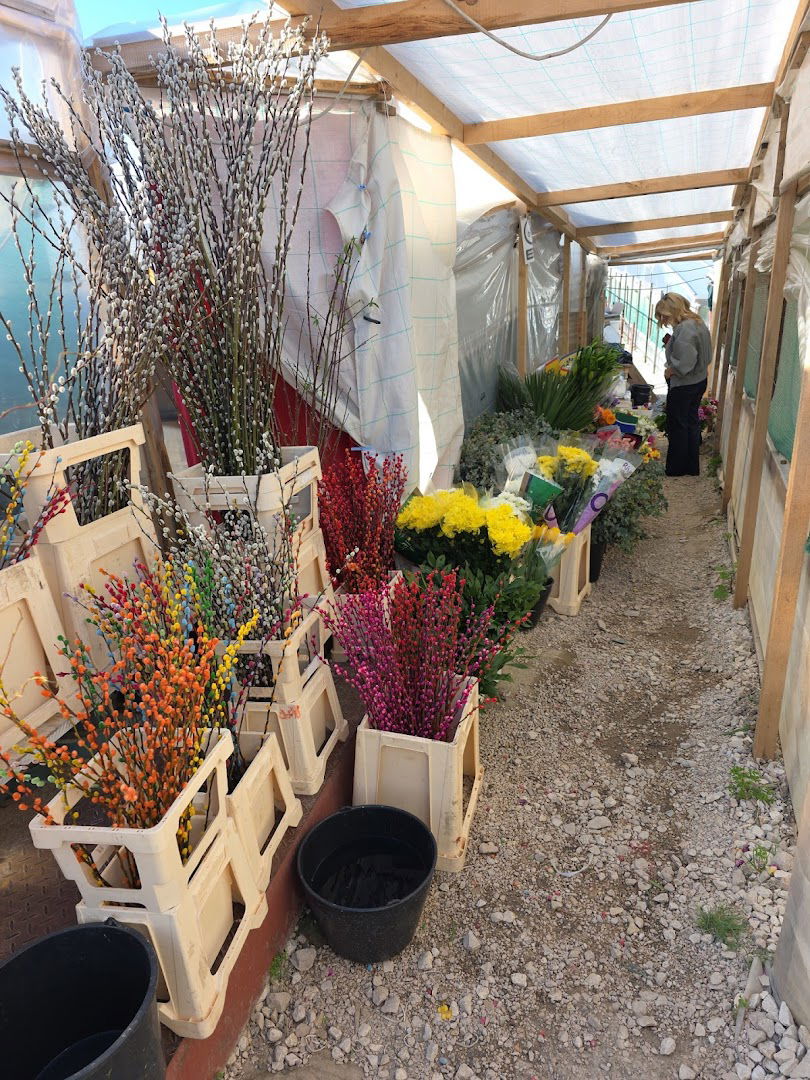 Dostava cvijeća Split - OPG Frezija Cvjećarnica